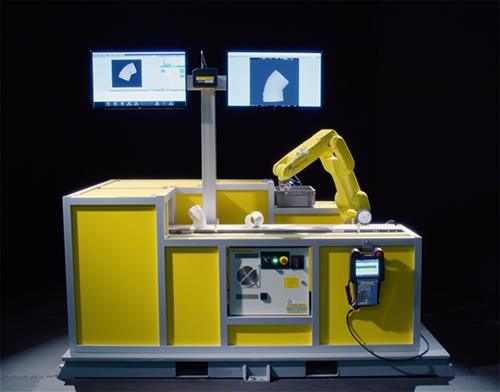 fanuc ir vision web server