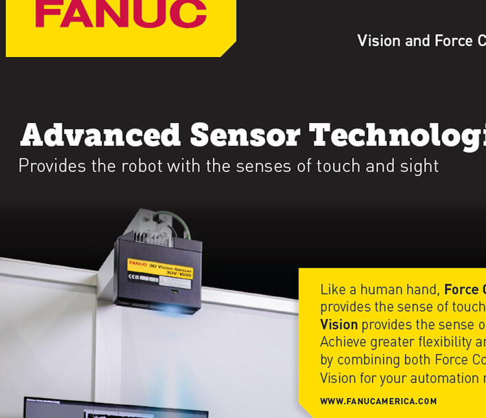 Force and Vision Brochure