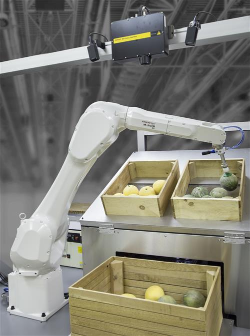 Industrial Robots M-20iB-25 bin picking melons