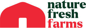 Nff logo