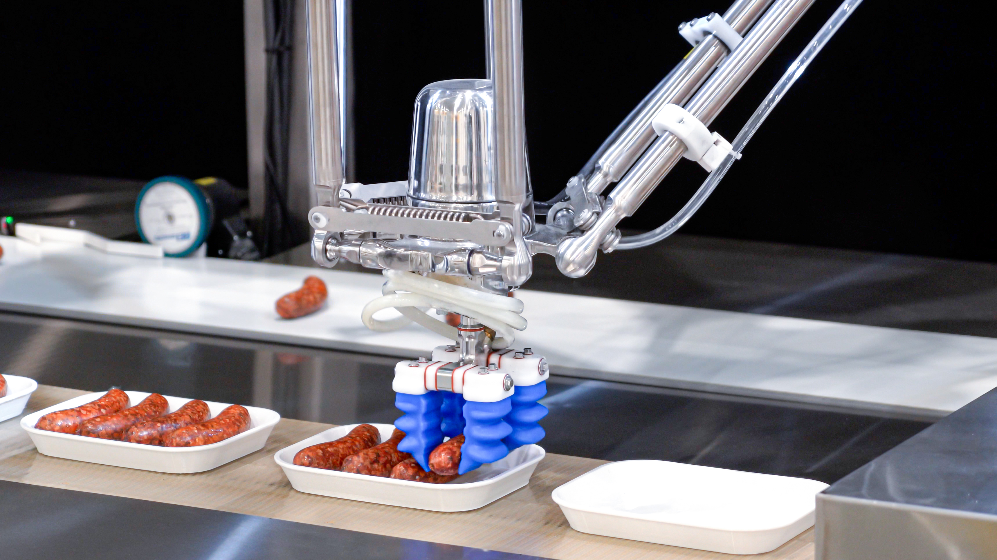 DR 3i B 6 STAINLESS Packing Sausages