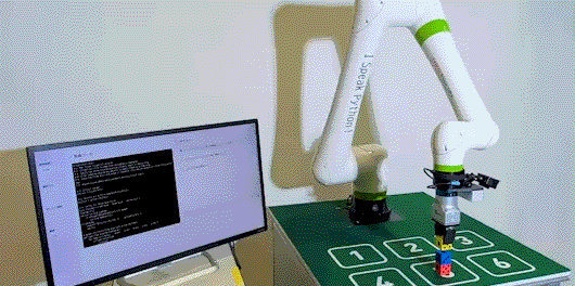 Physical AI