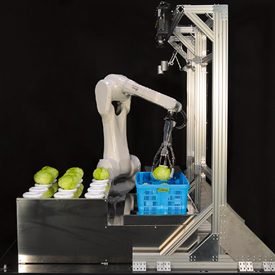 M-20iB/25C Handling Lettuce