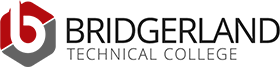 Logo btc two tone caps
