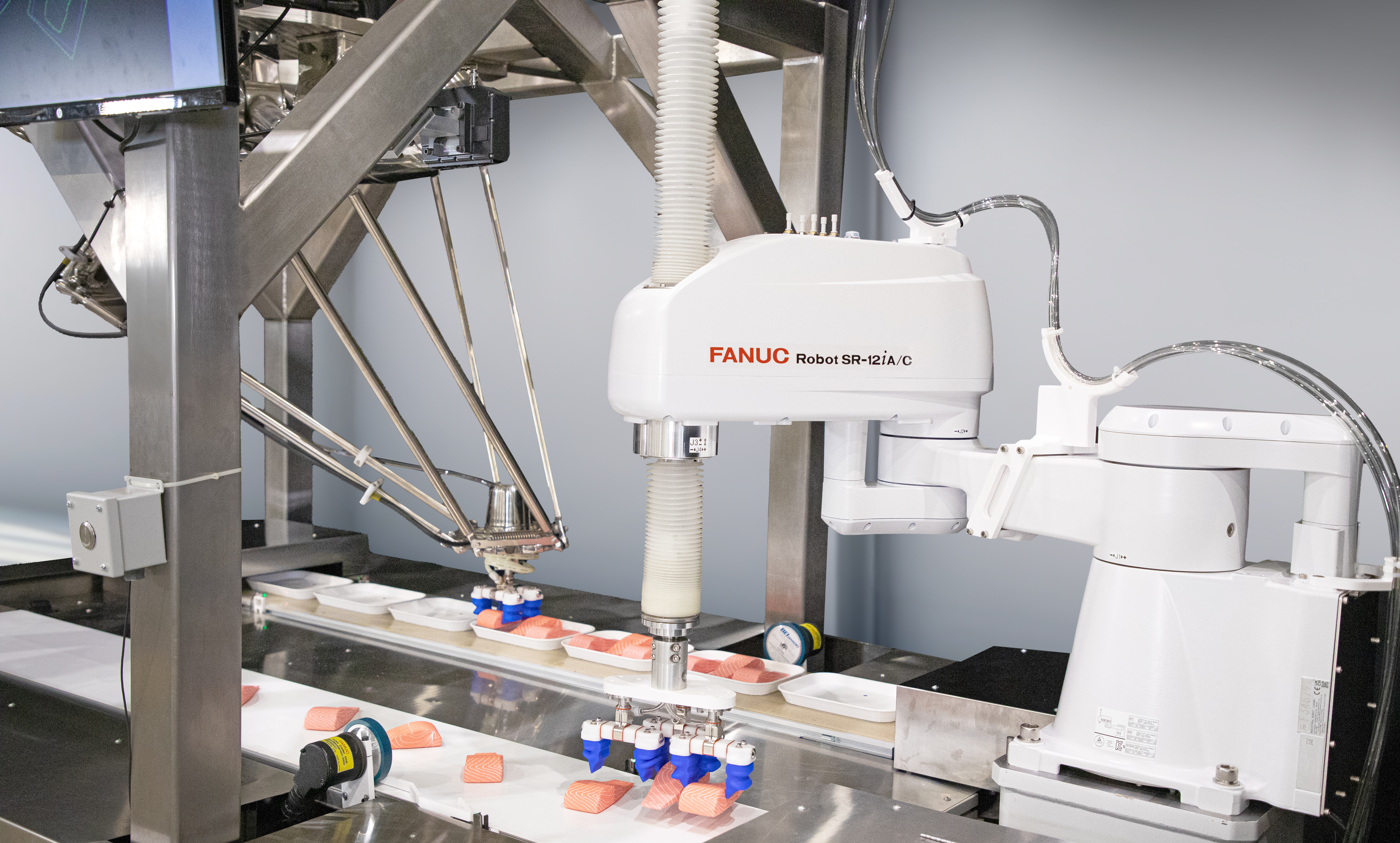 DR 3i B STAINLESS and SR 12i A C Picking and Placing Fish Fillets