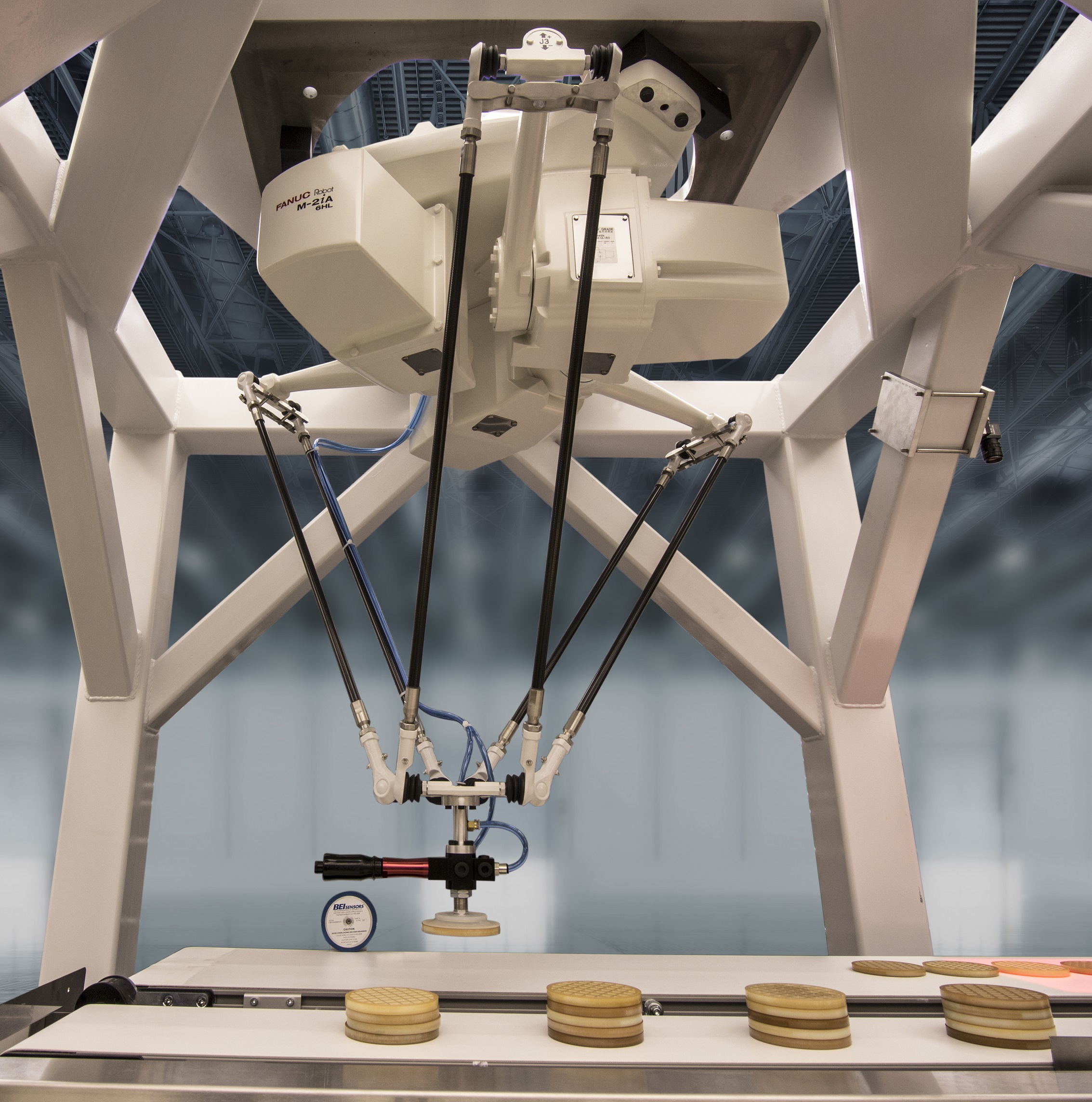 A white FANUC M-2iA parallel-link robot mounted in a support frame, positioned above a conveyor belt with stacked round food or product items ready for pick-and-place handling.